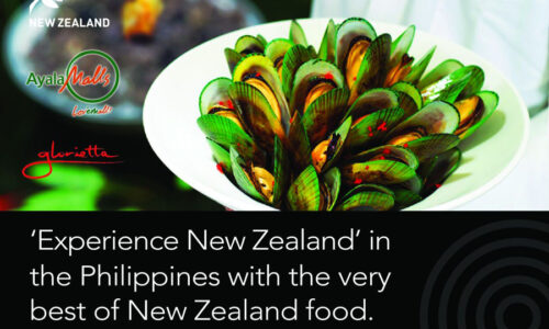 Experience New Zealand Fair