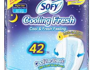 SOFY Cooling Fresh NS Wng 42cm 6’s x12